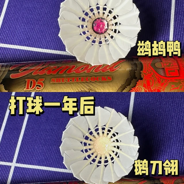 打了十桶才敢推荐的羽毛球