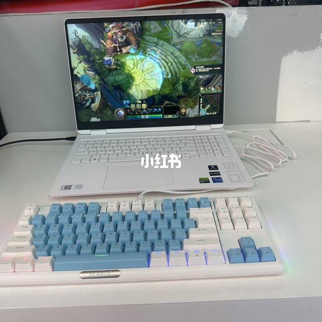 暗影精灵11 使用1年后感受