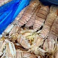 北海生鲜/食品网购避坑！这些细节帮你避坑