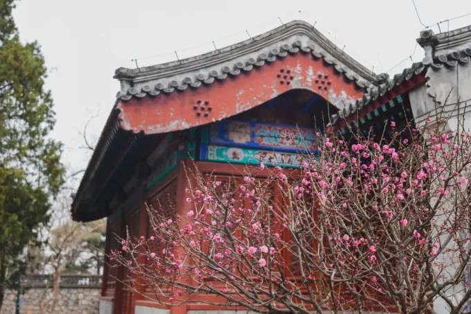 影像