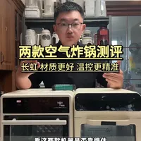两款爆火空气炸锅硬核实测：长虹与某品牌温控与性能深度对比