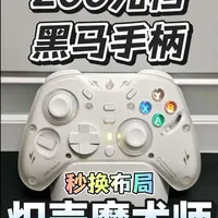 炽壳魔术师手柄评测：200元价位的“水桶级”黑马