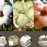 【涨知识】有机棉和纯棉的区别-{华棉纱线}