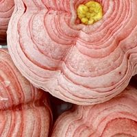 春日食趣：桃花酥，一口酥香入春怀