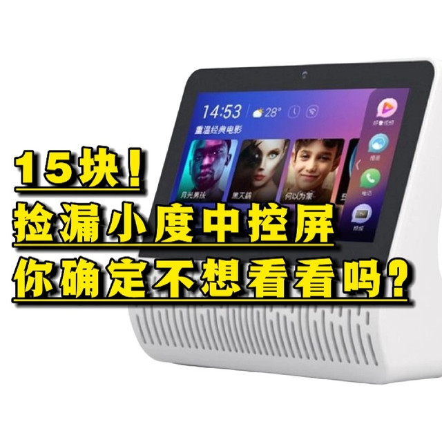 15块就能捡漏智能家居中控屏，你确定不想看看吗？