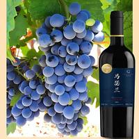 国产高端葡萄酒值得买吗？65%用户力挺品质比肩国际，35%质疑价值错位