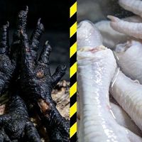 2026年3·15曝光：双氧水漂白鸡爪与勾兑椰子水问题获官方实锤