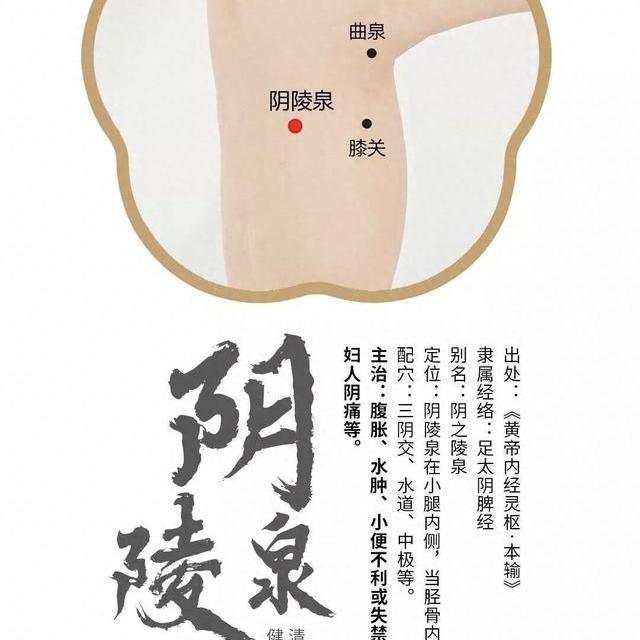 阴陵泉穴：中医“祛湿第一穴”的定位与实操指南
