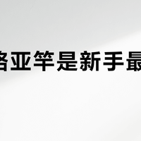 阿布路亚竿是新手最佳选择吗？全网观点大PK