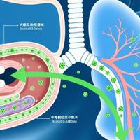 健康科普 篇零：雾化器选购指南：欧姆龙与家瑞康产品对比分析