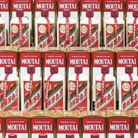 茅台2026年3月31日正式上调飞天出厂价至1269元，五粮液延续变相降价，国窖1573维持价格稳定