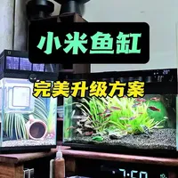 小米智能鱼缸深度改装：水清鱼亮的系统化升级方案