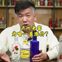 泸州老窖持续涨价背后的产品结构与竞争压力分析