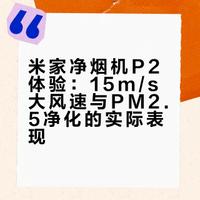 米家净烟机 P2 深度体验：超大吸力，PM2.5也压得住？！# 李大锤同学的微博视频