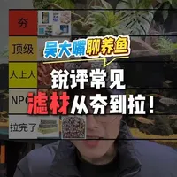 水族滤材全解析：从原矿到高分子，如何科学选择与避坑