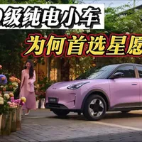 吉利星愿：A0级纯电小车市场分析