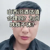 山西汾酒基本面与估值分析：增长乏力下的价值重构