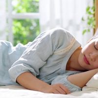 平价实用的春日焕新清单