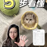 5步看懂猫粮检测报告，别再被包装骗了