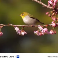 谁懂啊！vivo直接把单反长焦装进手机里了！