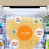 2026年零嵌入电冰箱啥牌子好？深度评测5款防串味神机