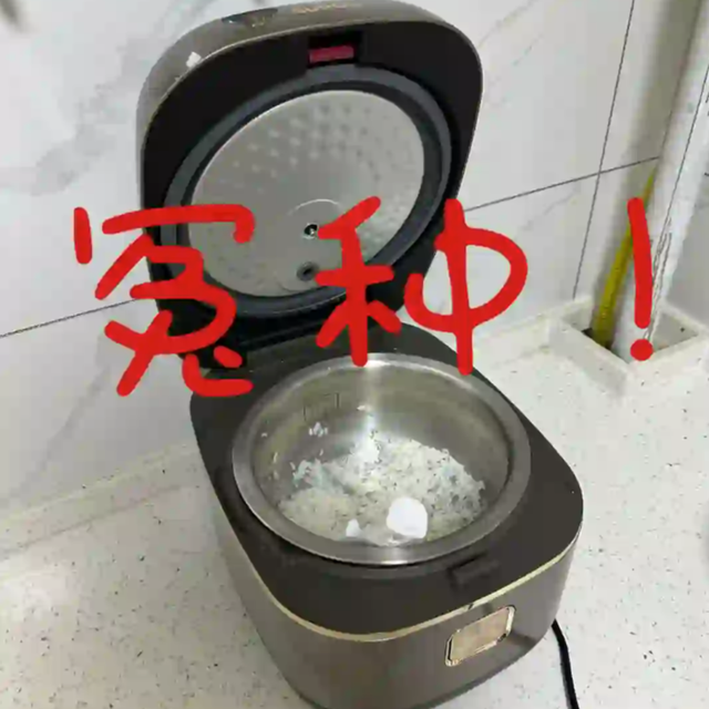 被电饭煲坑了1万多！总结4个避坑指南+5个选购技巧，别再交学费了