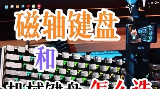 磁轴与机械键盘的核心区别及选购指南