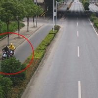 骑车玩手机摔成植物人索赔300万元，北京法院：路政公司承担30％责任，赔偿100余万元