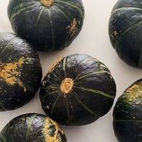 如何选又面又糯的老南瓜？两种南瓜真实评测，你选对了吗？