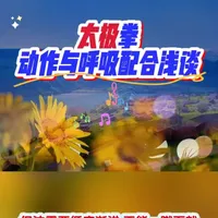 太极拳呼吸配合指南：从初学到进阶的分阶段练习法