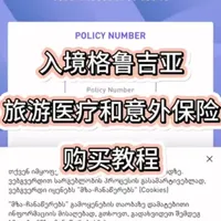 格鲁吉亚入境新规:2026年起强制购买旅游医疗保险