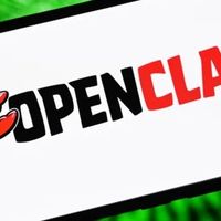 OpenClaw运行问题排查