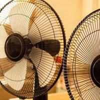 纠结电风扇哪个品牌质量好？不妨参考电风扇品牌前十名的实力盘点