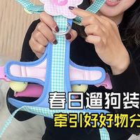 养狗出门，装备真的不用多。
