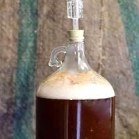 酵母菌：酿酒是副业，吃核辐射、上火星才是它的主业！