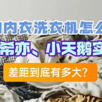 智能家居 篇零：内衣洗衣机哪个牌子好？美的、希亦、小天鹅实测拆解