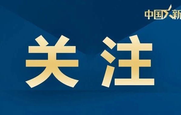 大疆公告：性质恶劣
