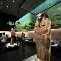 🇭🇰亲子新研学|穿越千年の博物馆友趣体验