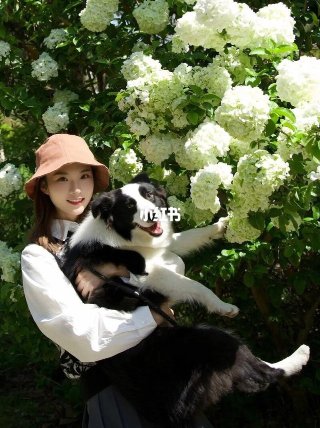 春季养宠必看!避开这些坑,毛孩子安稳过春天