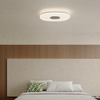 Aora 如果遇到 App 或网络问题，日常照明会受影响吗？