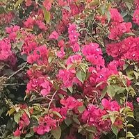 手机有电，心中不慌！这个磁吸充电宝，治好了我的“电量焦虑”