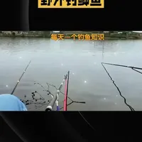 野外钓鲫鱼鱼竿选择指南：钓型与长度解析