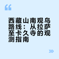西藏观鸟笔记8•摩天净土(拉萨—卡久寺篇)