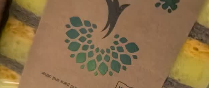 Mr Clean洗碗海绵木浆棉百洁布4片