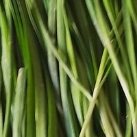 # 春韭三吃：鲜掉眉毛的家常做法