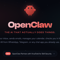 OpenClaw 的费用：在私有服务器上运行 OpenClaw 需要多少费用？