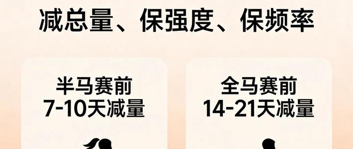 马拉松赛前如何科学减量