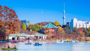 东京山手线一日游指南：四段线路体验四种都市风貌