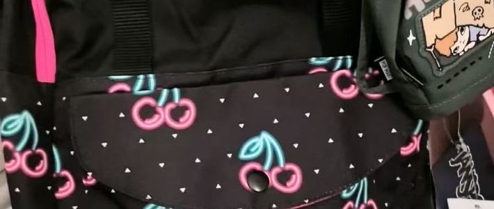 印花控狂喜✨JanSport 这只双肩包美到犯规