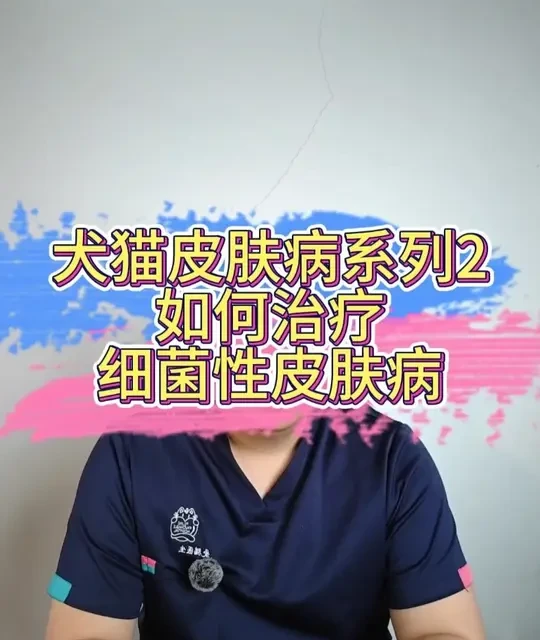 犬猫细菌性皮肤病治疗指南：分级诊疗、用药规范与复发预防